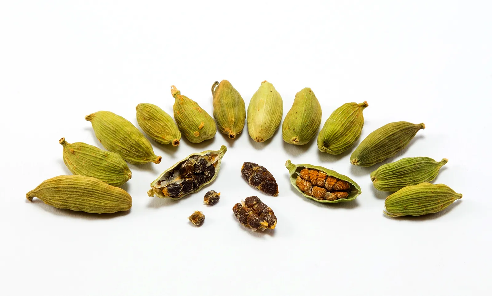 Cardamom Cardamom