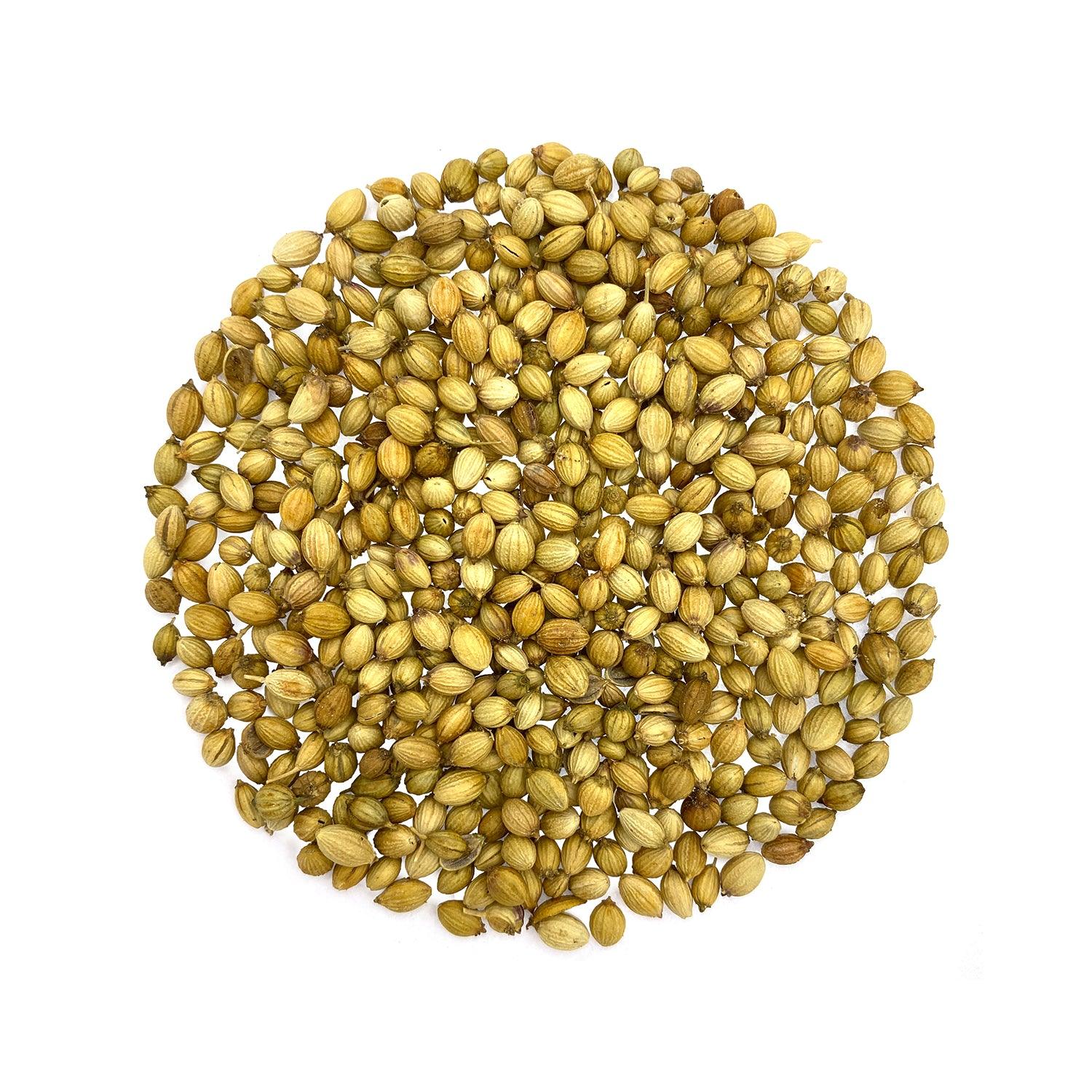 Coriander Seeds Coriander Seeds