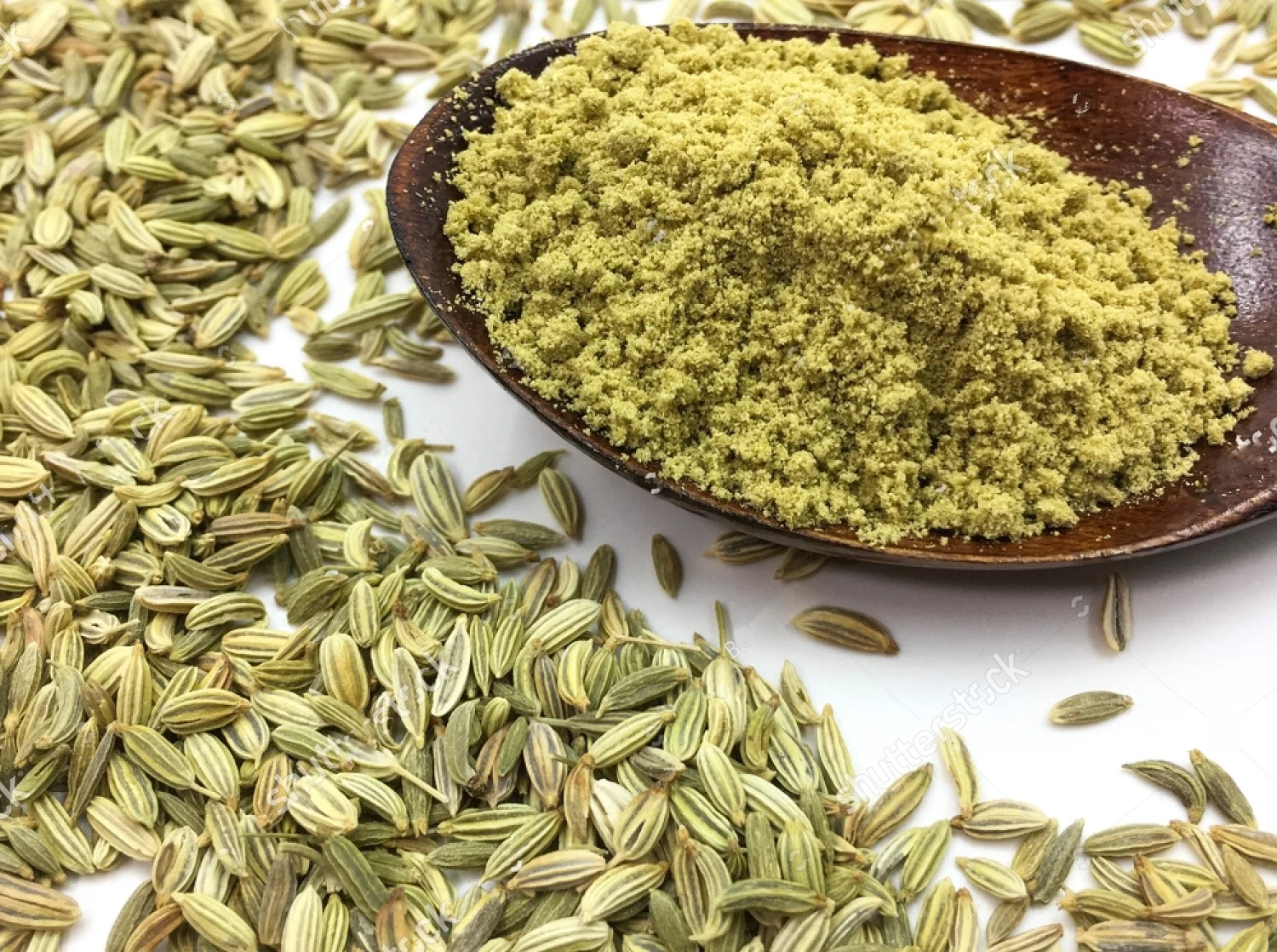 Fennel Powder Fennel Powder