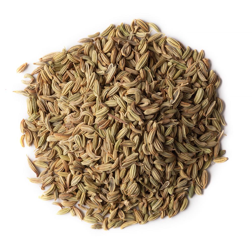 Fennel Seeds Fennel Seeds