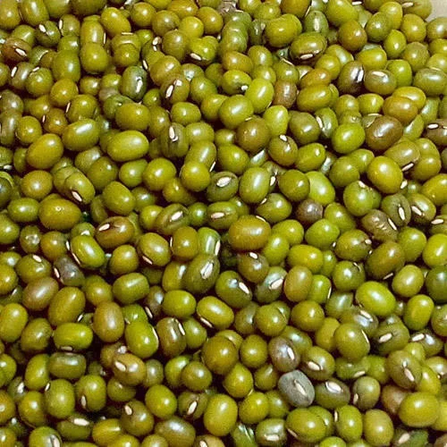 green-moong-500x500