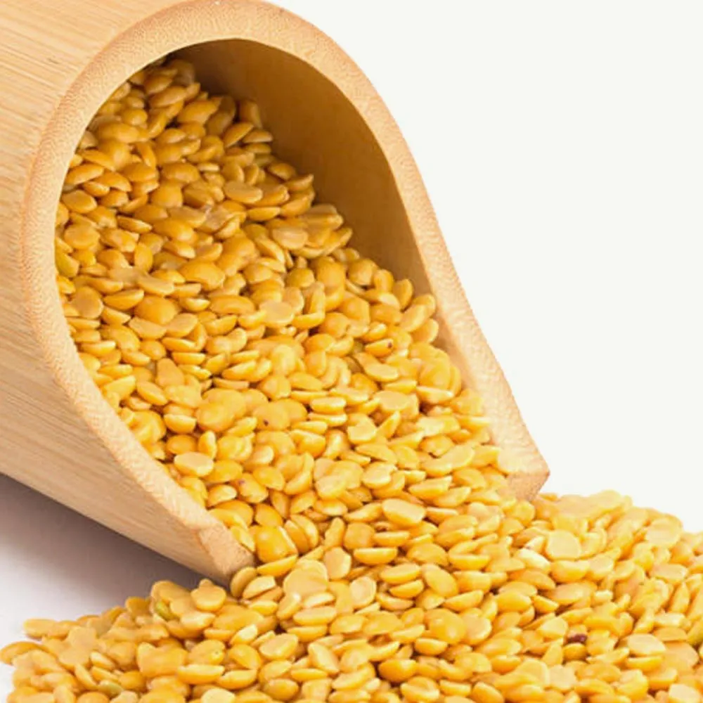 toordal-wellnest-livelifewell